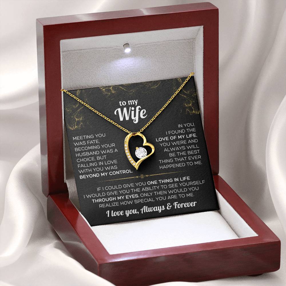 To My Wife Necklace - Falling in love with you was beyond my control ❤️
