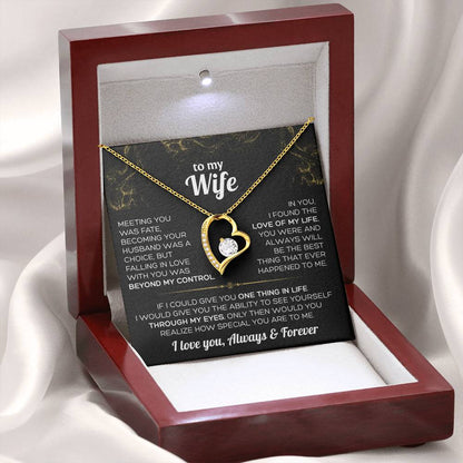 To My Wife Necklace - Falling in love with you was beyond my control ❤️