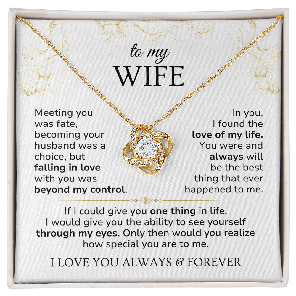 Love Knott Necklace For Wife - Meeting you was fate