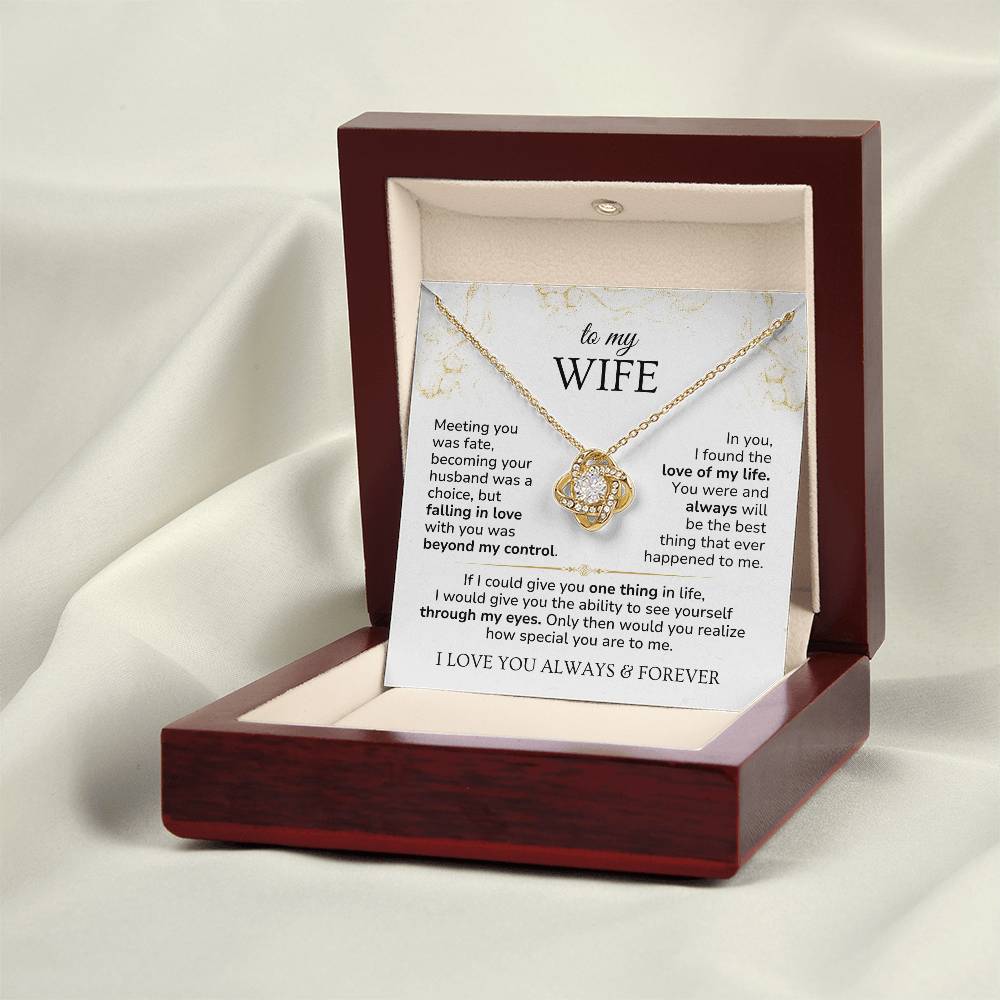Love Knott Necklace For Wife - Meeting you was fate