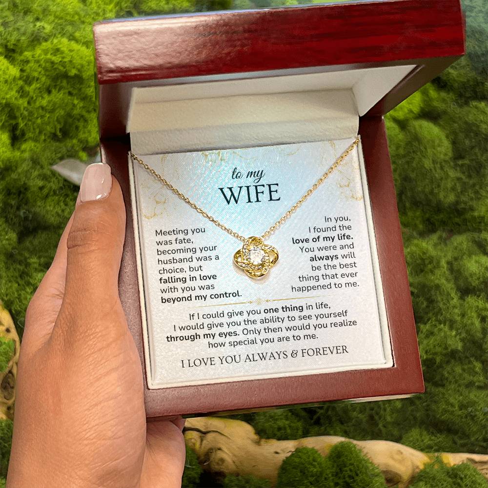 Love Knott Necklace For Wife - Meeting you was fate