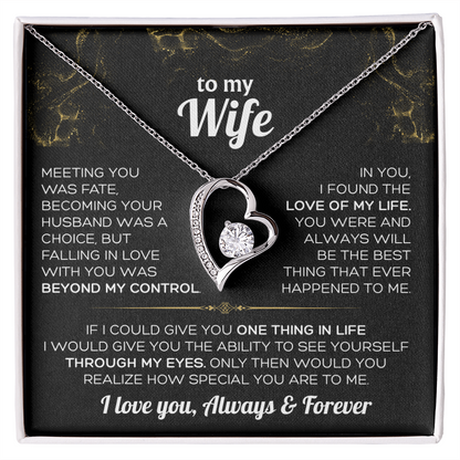 To My Wife Necklace - Falling in love with you was beyond my control ❤️