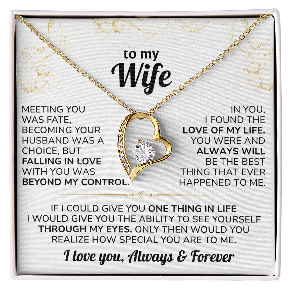 To My Wife Necklace - Meeting you was fate