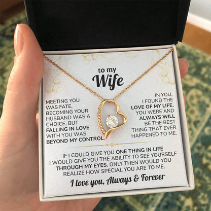 To My Wife Necklace - Meeting you was fate